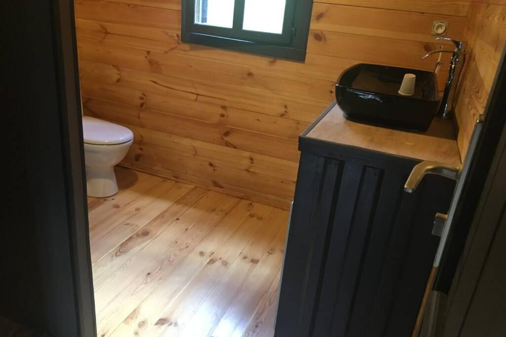 Chalet Bois Laruns Εξωτερικό φωτογραφία